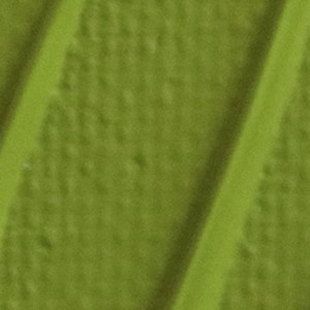 Pébéo Origin Vert olive clair 26