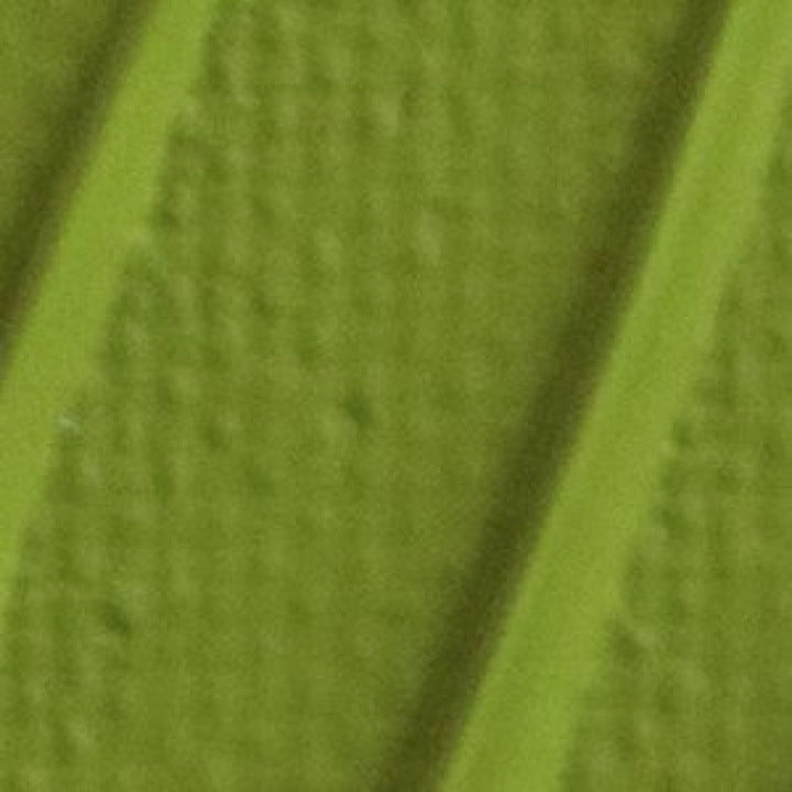 Pébéo Origin Vert olive clair 26