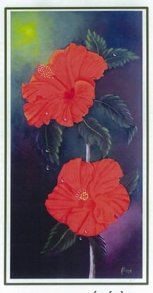 Hibiscus fleur éphémère !/A. Vaillancourt