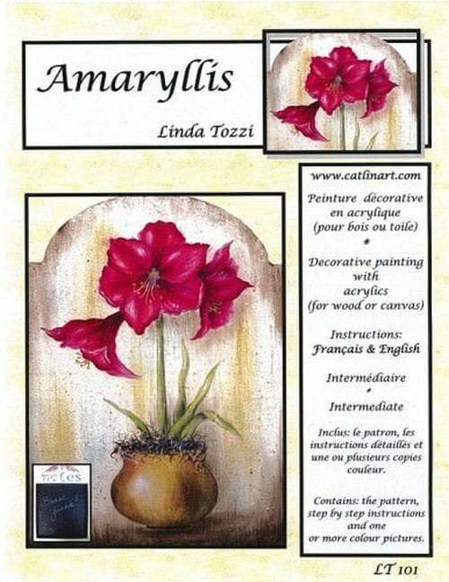 Amaryllis/Linda Tozzi